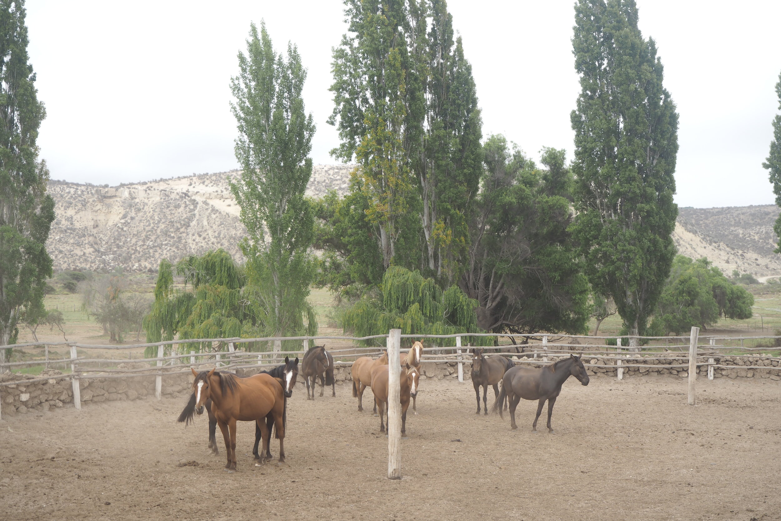 Hotel Equino